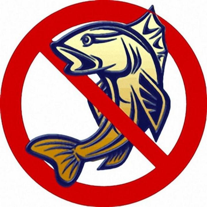 Рыбнослободцы, для большинства граждан вводится запрет на рыболовные сети