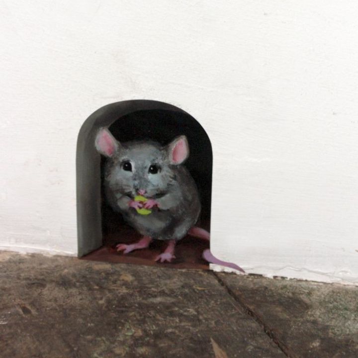Способы от избавления  мышей  в квартире