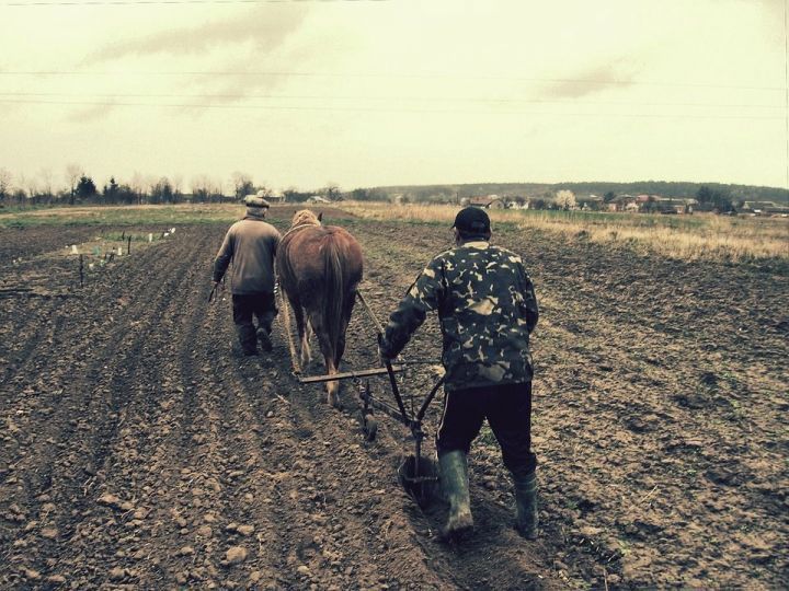 Названы ошибки дачников, которые могут привести к серьезным проблемам со здоровьем