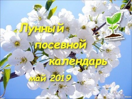 Лунный календарь садоводов и огородников для верхнеуслонцев на май 2019 года