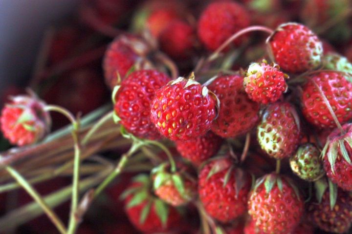 Начался ягодный сезон, поэтому будьте осторожны: челнинка купила ягоды с опасной начинкой