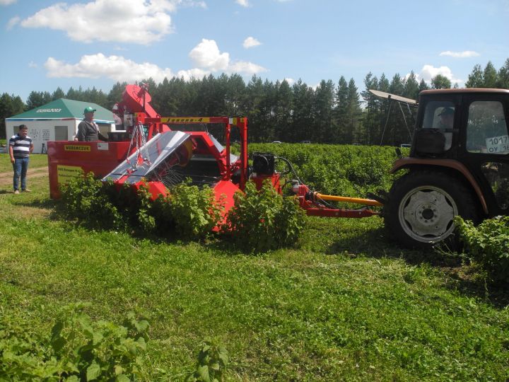 Заместитель министра сельского хозяйства РТ Ришат Хабипов посетил " КФХ Володин" Рыбно - Слободского района