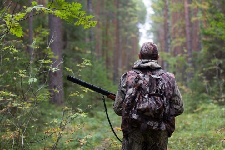 Многофункциональные центры  Татарстана начали выдавать разрешение на охоту