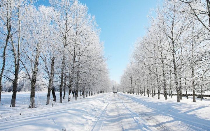 Завтра в Рыбно-Слободском района ожидается порывистый ветер и снежные заносы