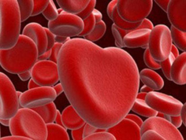 4 неожиданных факта о группе крови о которых мало кто знает