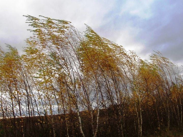 На территории Республики Татарстан  местами ожидается сильный ветер порывами 15-16 м/с