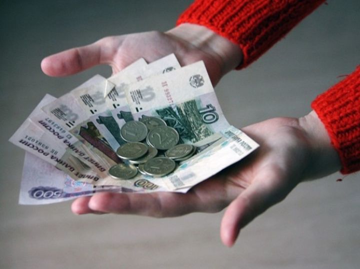 Многодетным семьям Татарстана выплатили 31 млн рублей для уплаты налогов