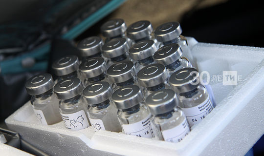 В Татарстан поступила вторая партия вакцины от гриппа для взрослых