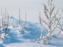 В Татарстан придёт 20-градусный мороз