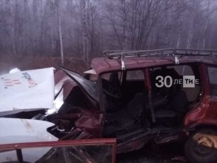 ДТП в Татарстане: погиб водитель легковушки
