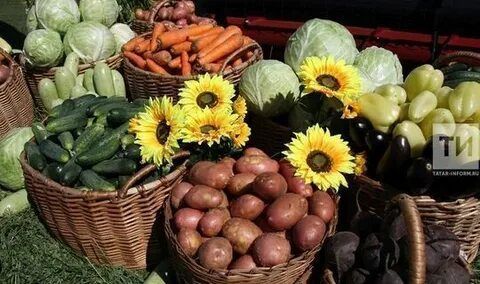 В Татарстане каждый третий житель города покупает продукты у фермеров примерно раз в месяц