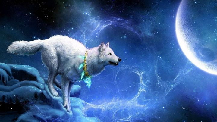 Одинокие волки: знаки Зодиака, которым легче всего дается одиночество
