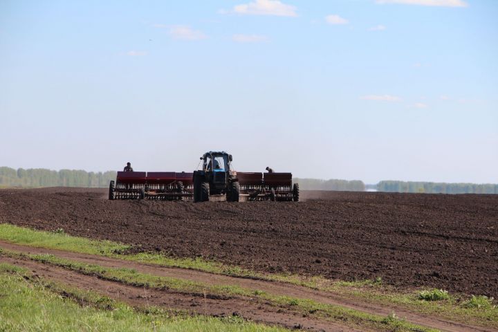 Аграрии Рыбно - Слободского  района могут получить субсидии Минсельхозпрода РТ на приобретение минеральных удобрений