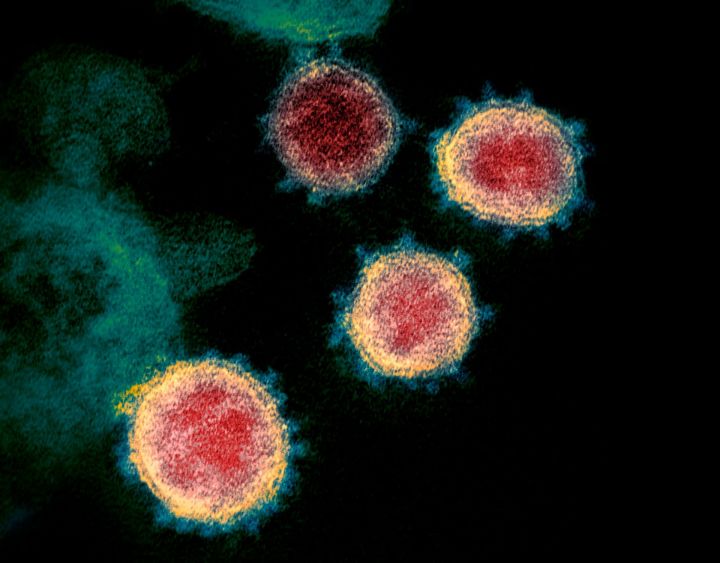 Вирусолог научил, как легко и просто отличить коронавирус от ангины и гриппа