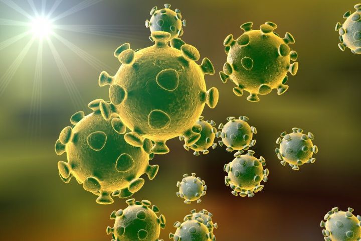 Сегодня в республике Татарстан подтвержден 71 новый случай коронавирусной инфекции