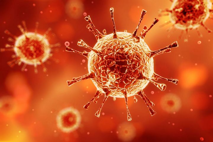 Вирусолог предположил, как поведет себя коронавирус при жаркой погоде