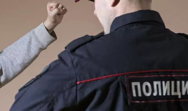 В Рыбно-Слободском районе осуждена женщина,  ударившая сотрудника полиции