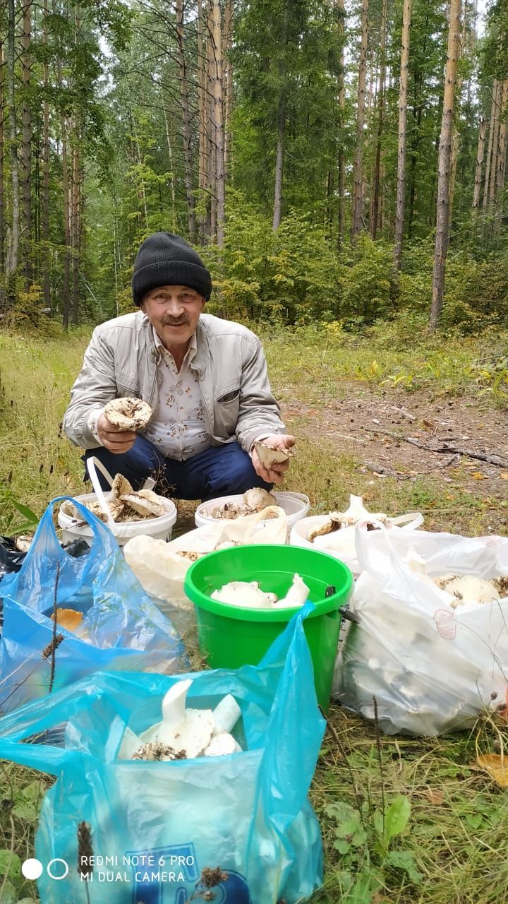 Разим  Тазиев: " Август и сентябрь самое лучшее время для сбора грибов."