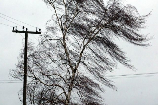 Татарстанцев предупреждают о сильном ветре