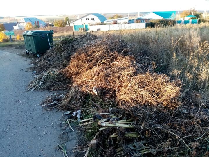Почему в Рыбно-Слободском районе много мусора?