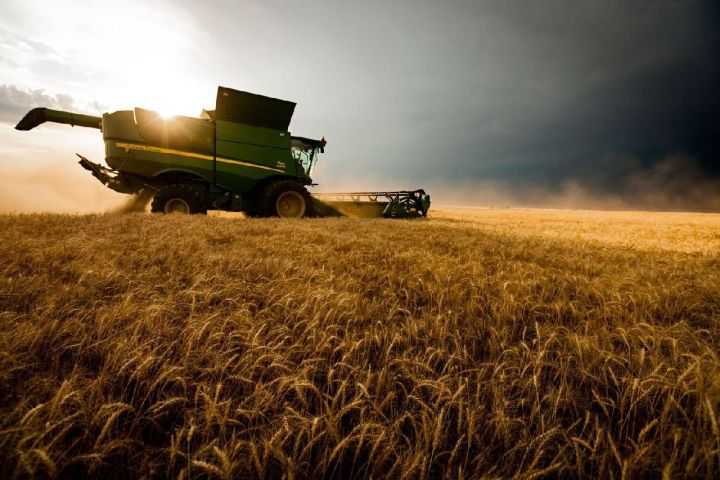 Марат Мингалиев: «Цифровизация сельского хозяйства – требование времени»