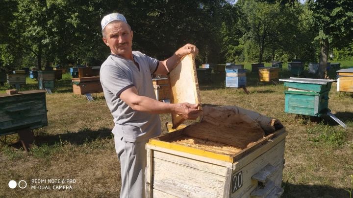 Рифкат  Гимадиев: " Тот, кто попробовал наш мед, и на следующий год делает заказ заранее"