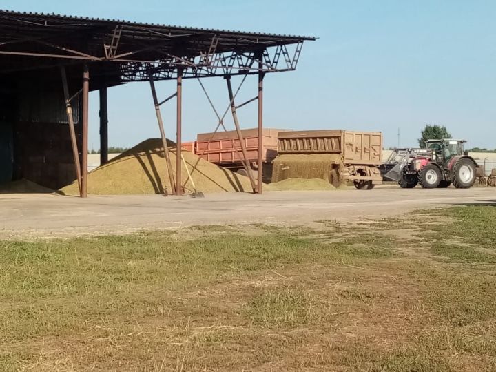 Хлеборобы хозяйства “Логос” организованно приступили к уборке урожая