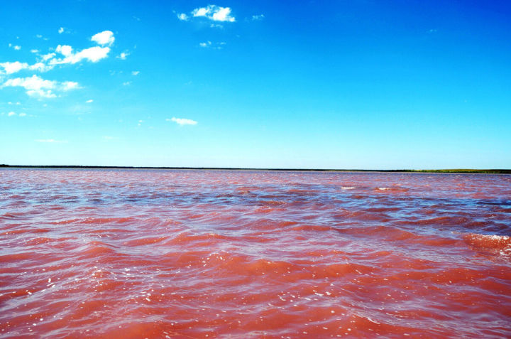 Эксперты изучают причину покраснения воды в озере Казани