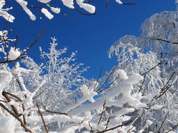 Погода  на 26 января в Рыбной Слободе