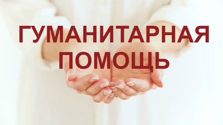 Главы трех муниципальных районов Татарстана оказали гуманитарную помощь ДНР и ЛНР