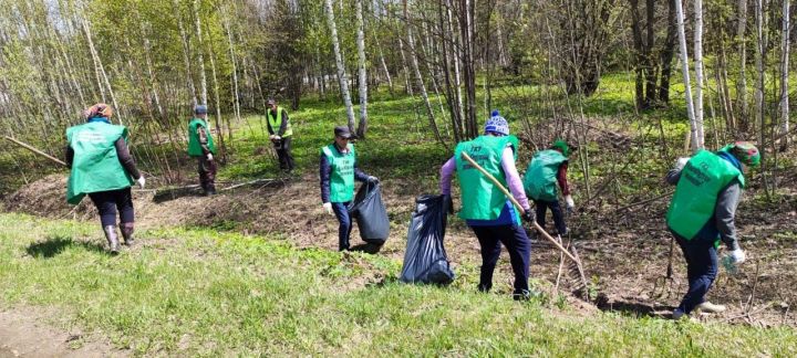 Татарстанцы приняли участие в экологической акции "Чистые леса Татарстана"