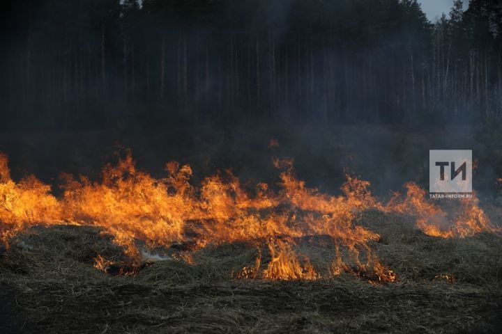Возле села Троицкий Урай произошло возгорание сухой травы