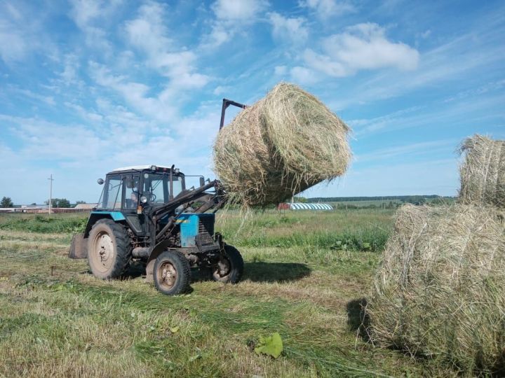 В Рыбно - Слободском районе продолжается работа по заготовке кормов.