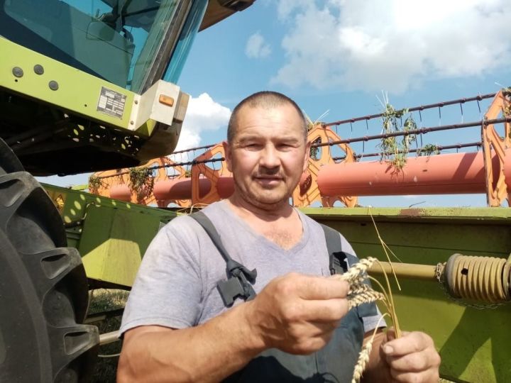 В Рыбно-Слободском районе полным ходом идёт уборка зерновых