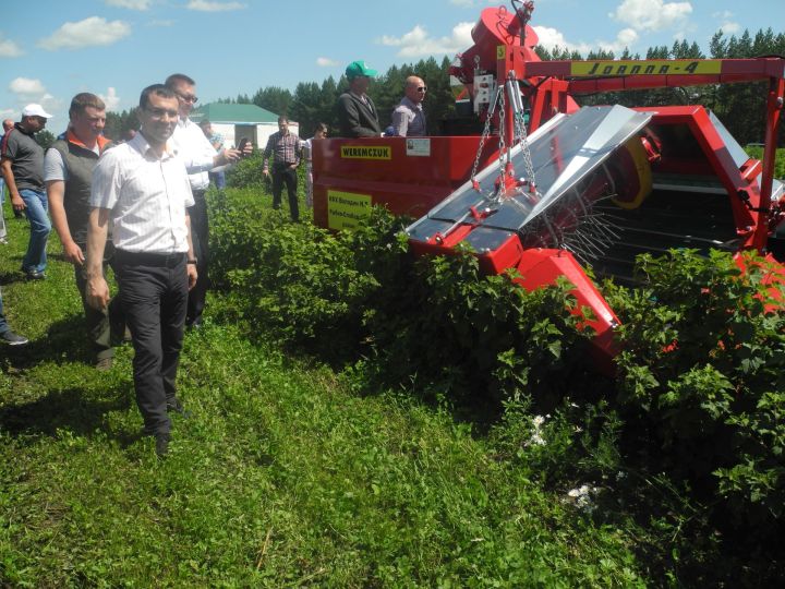 В Рыбно-Слободском районе планируют построить Агропромпарк