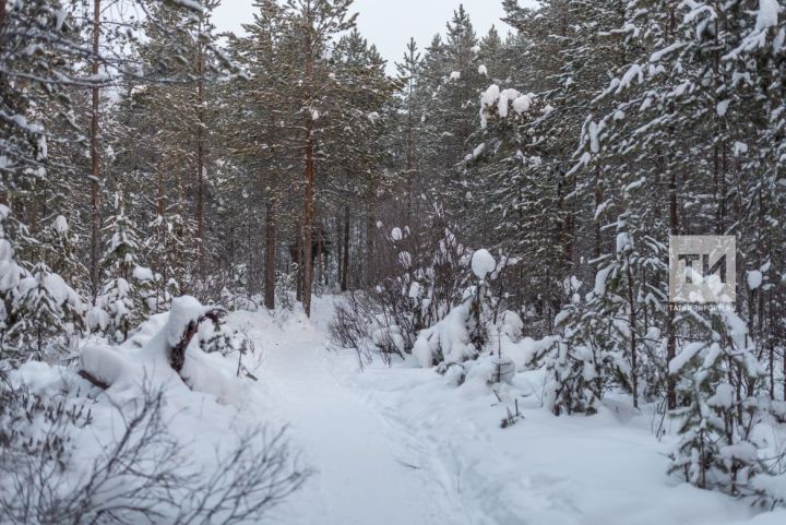 Когда в Татарстане образуется устойчивый снежный покров