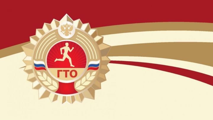 В Татарстане подвели итоги  онлайн-акции ГТО