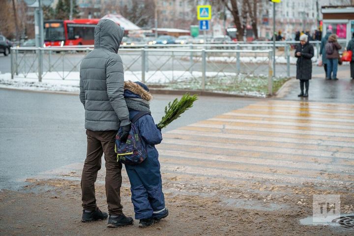 В Рыбно-Слободском районе пешеходов проверят на соблюдение ПДД