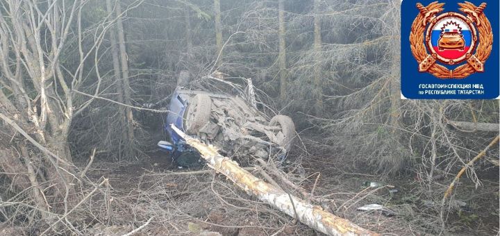 В Рыбно-Слободском районе молодой водитель погиб после ДТП с деревом