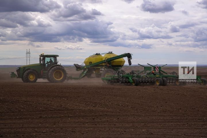 На весенне-полевые работы в Татарстане планируют потратить 38,8 млрд рублей