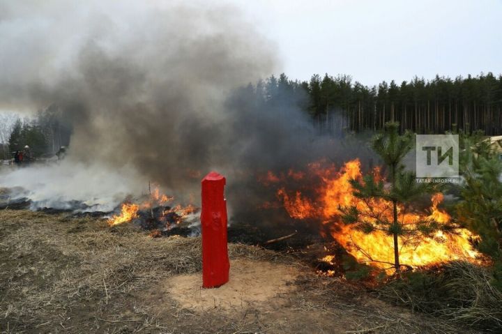 Из-за высокой пожарной опасности лесов в Татарстане объявили штормовое предупреждение