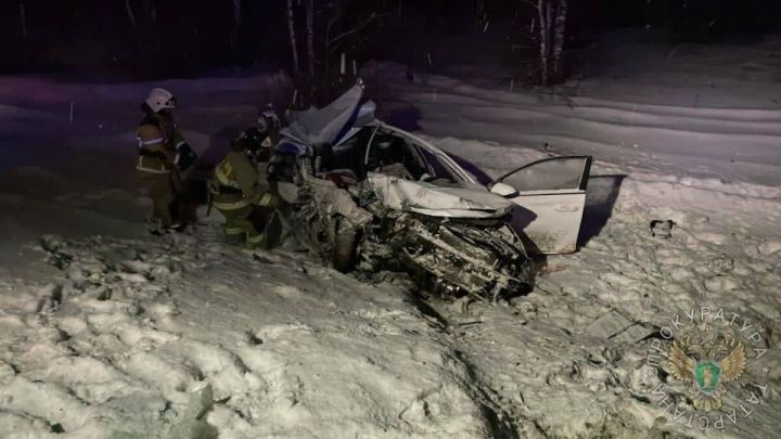 В Татарстане при столкновении иномарки с грузовиком погибло два человека
