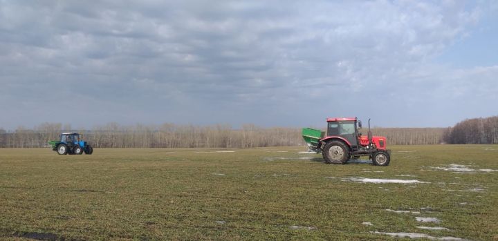 Весенне-полевые работы начались в 20 районах Татарстана