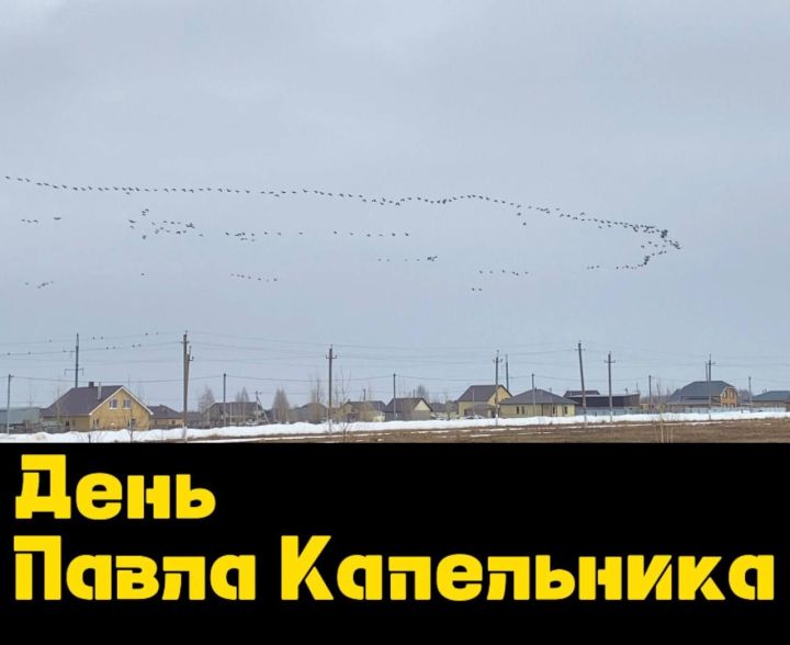 Народные приметы на 20 марта 2025 года: что можно и нельзя делать