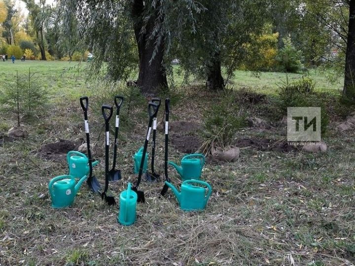 Садовые работы в марте