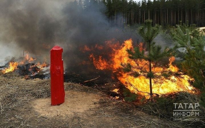 Штрафы за нарушение противопожарного режима в Татарстане на майские праздники увеличены вдвое