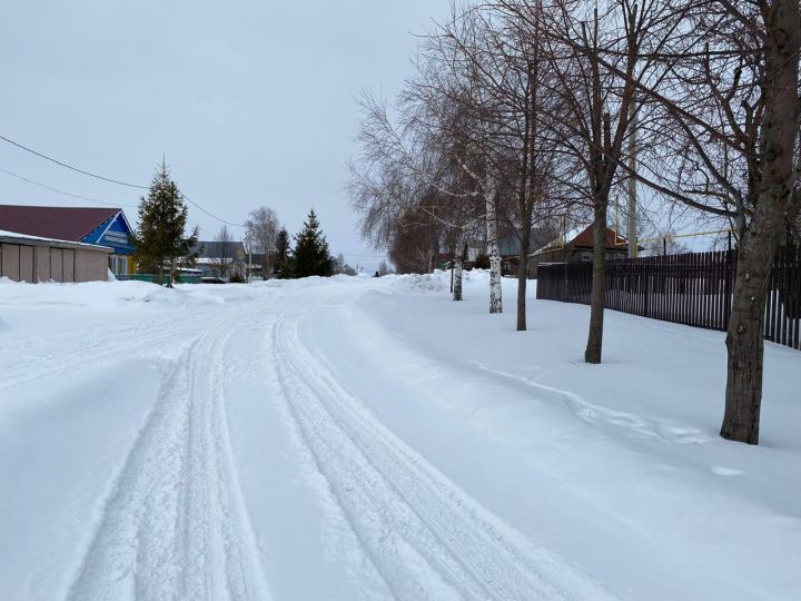В Татарстане ожидается потепление до -3 градусов, снегопады и метели