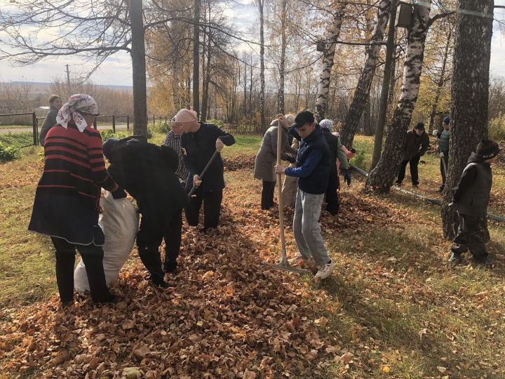 Школьный коллектив принял участие в осеннем субботнике