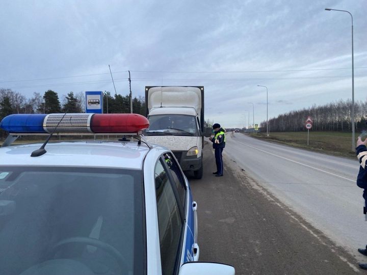 Важные правила ввоза и регистрации животных в Республике Татарстан