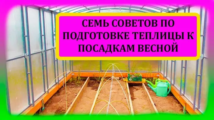Как правильно подготовить теплицу к новому сезону выращивания овощей